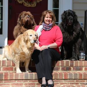 11081455_10206031655940896_1305497024783228628_n