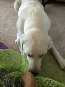 Messages Image(716481391)