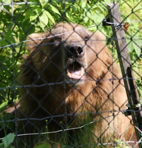 11063675_10206784540882549_6758954083423866658_n