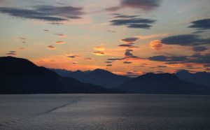 11665688_10206793759153000_2297710110549353948_n (1)