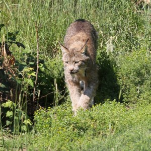 11696019_10206784525602167_3498785724763007042_n