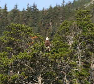 11703129_10206784513281859_604706951801107793_n