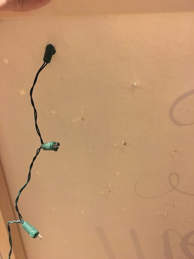 12278913_10206707067429152_8006236655167920260_n