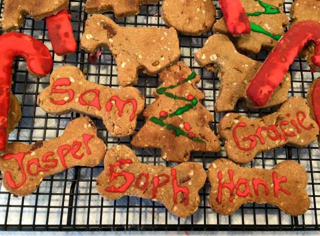 12348283_10206747817607881_174118173_n