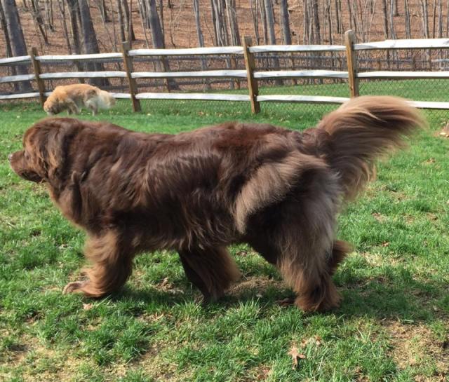 10013551_10208497169537195_3690865558595710906_n