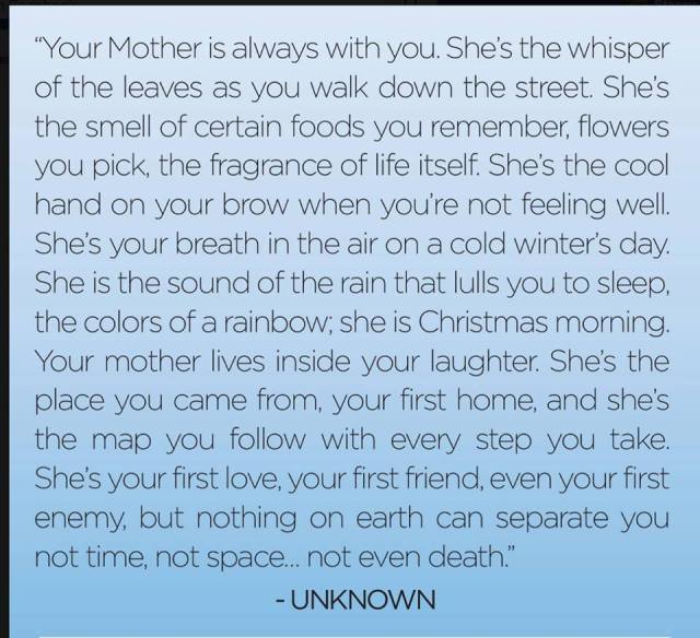 13103321_10208966751076440_8501806776590109147_n